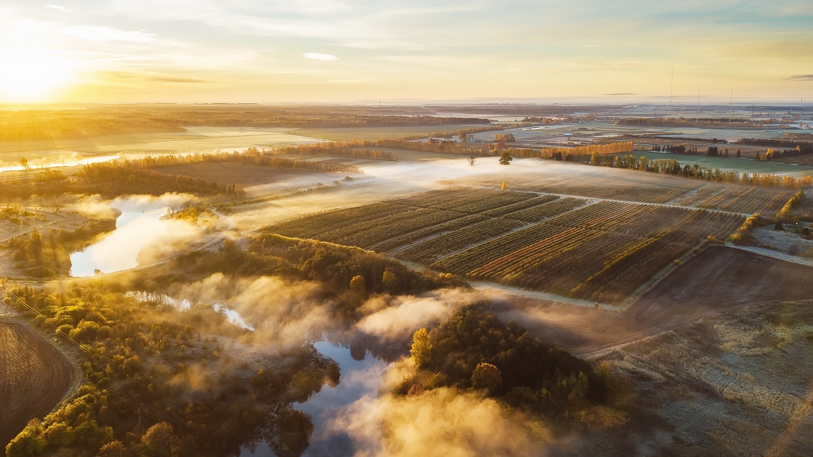 field, lithuania, morning, fog