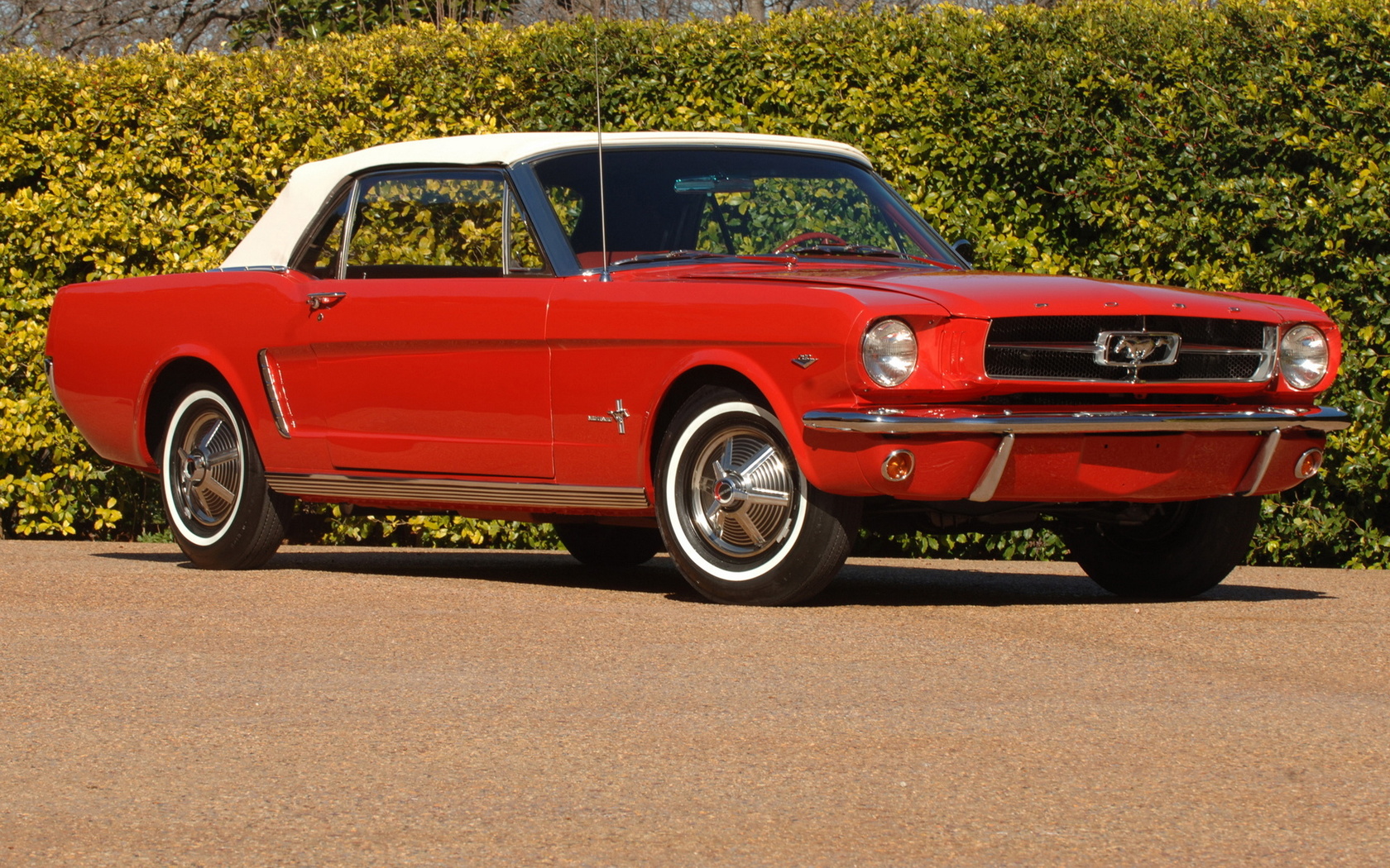 mustang, convertible, 1964