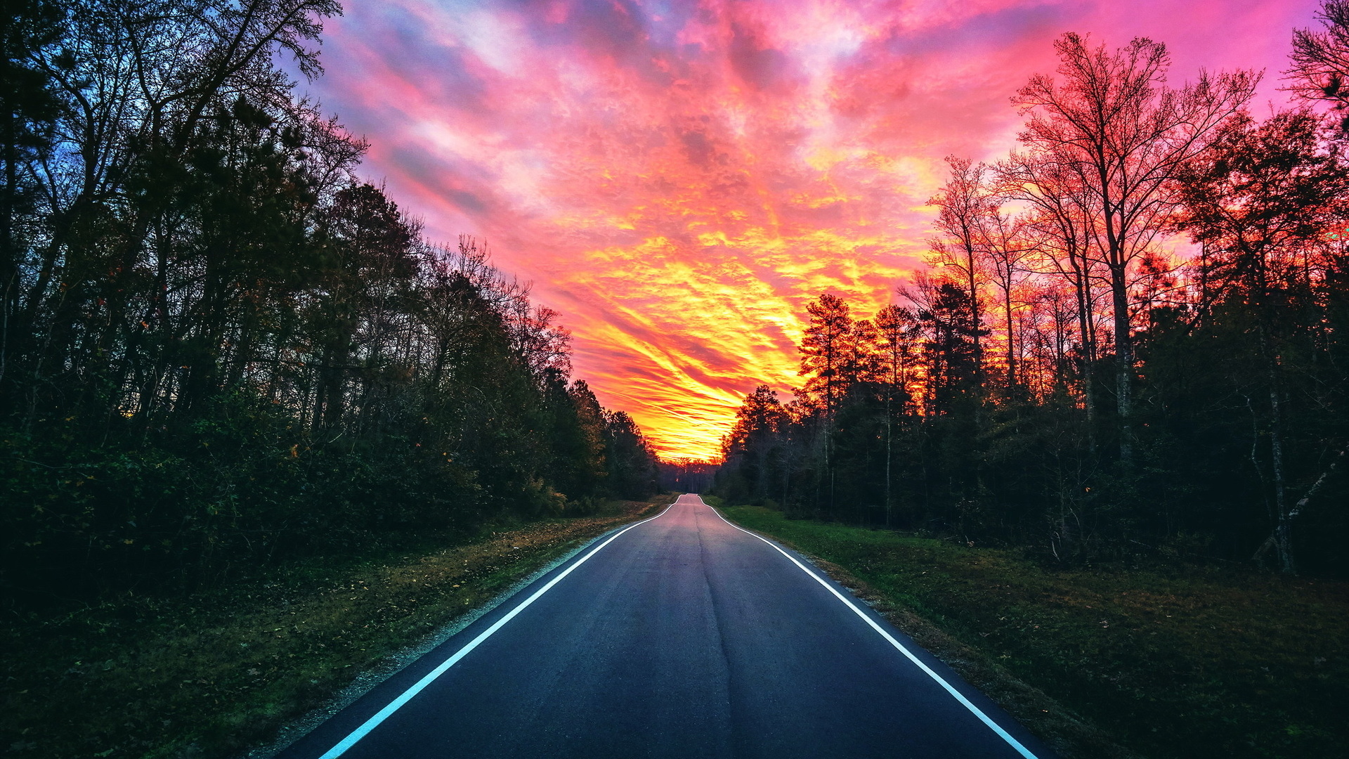 road, forest, sunset