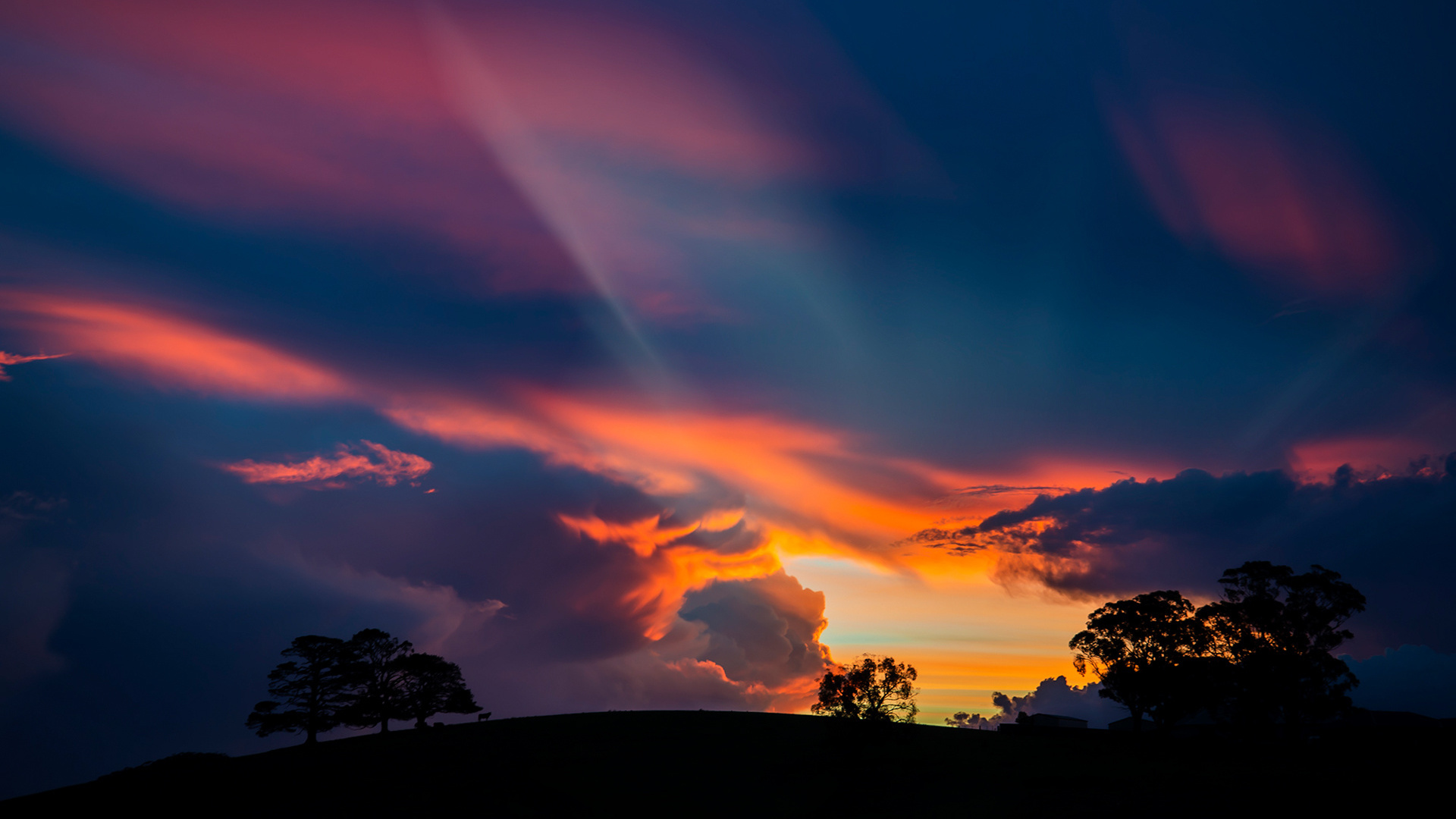 clouds, rays, the sky, silhouette, trees, sunset