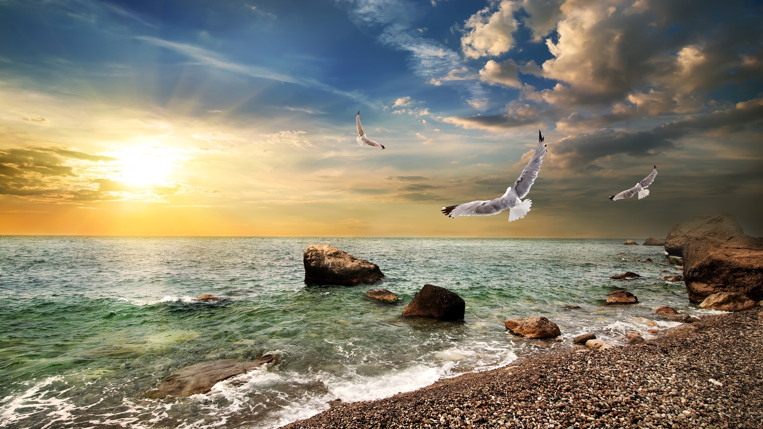 seagulls, stones, crimea, horizon, the sky, the sun, clouds, sea, coast, dawn, , , , 