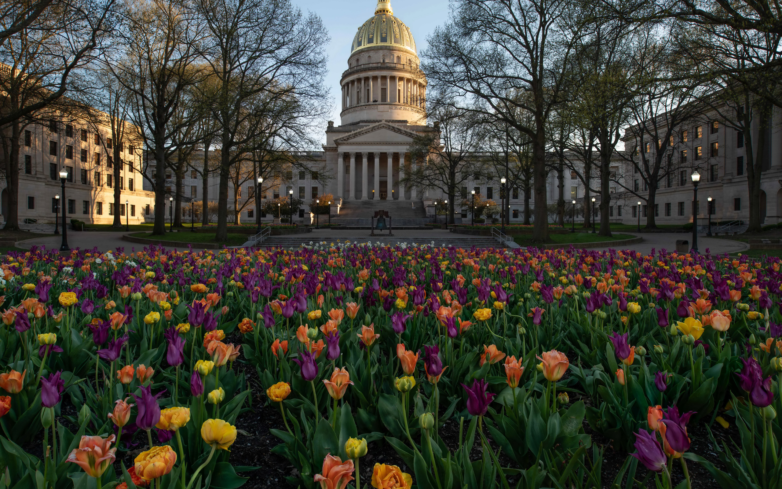 , virginia, capitol, ,  , 