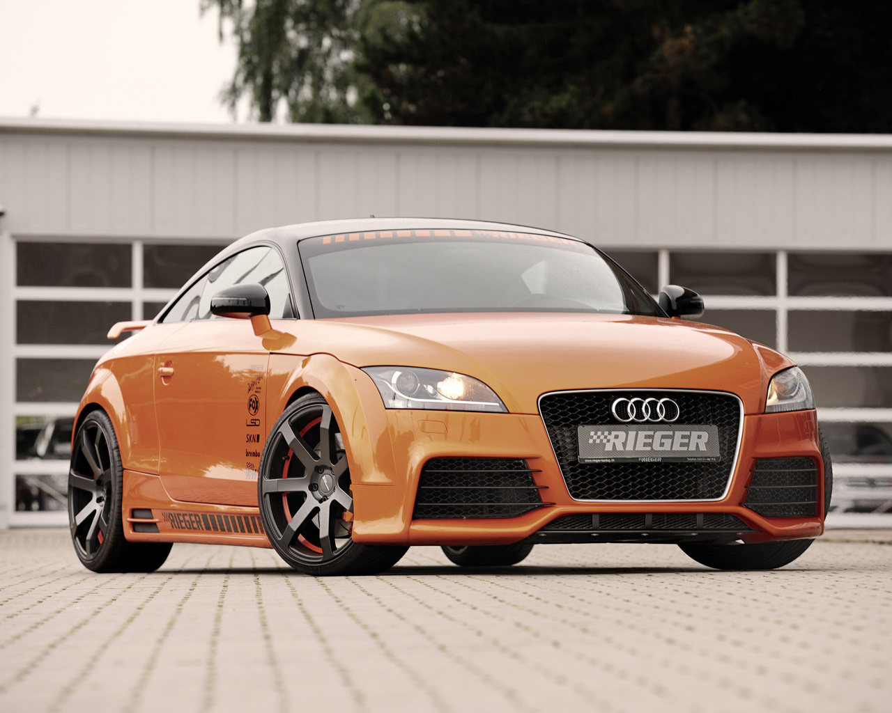 rieger, audi, tt, 8j