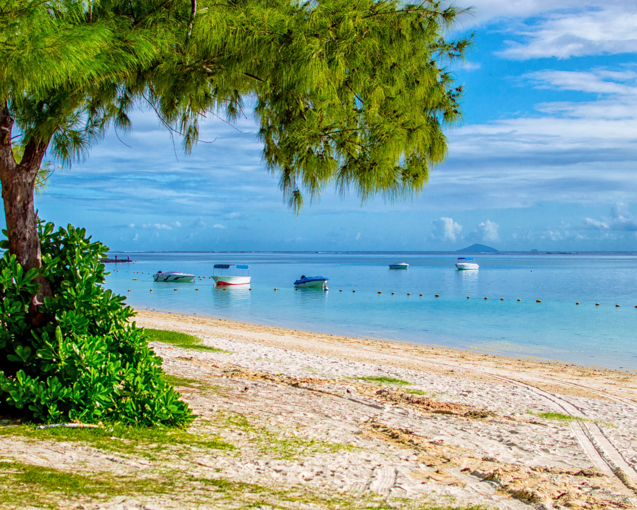 trees, coast, beach, sand, sea, boats, the sun, the sky, horizon, clouds