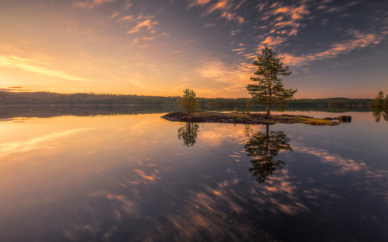 , , , , ole henrik skjelstad, , , 