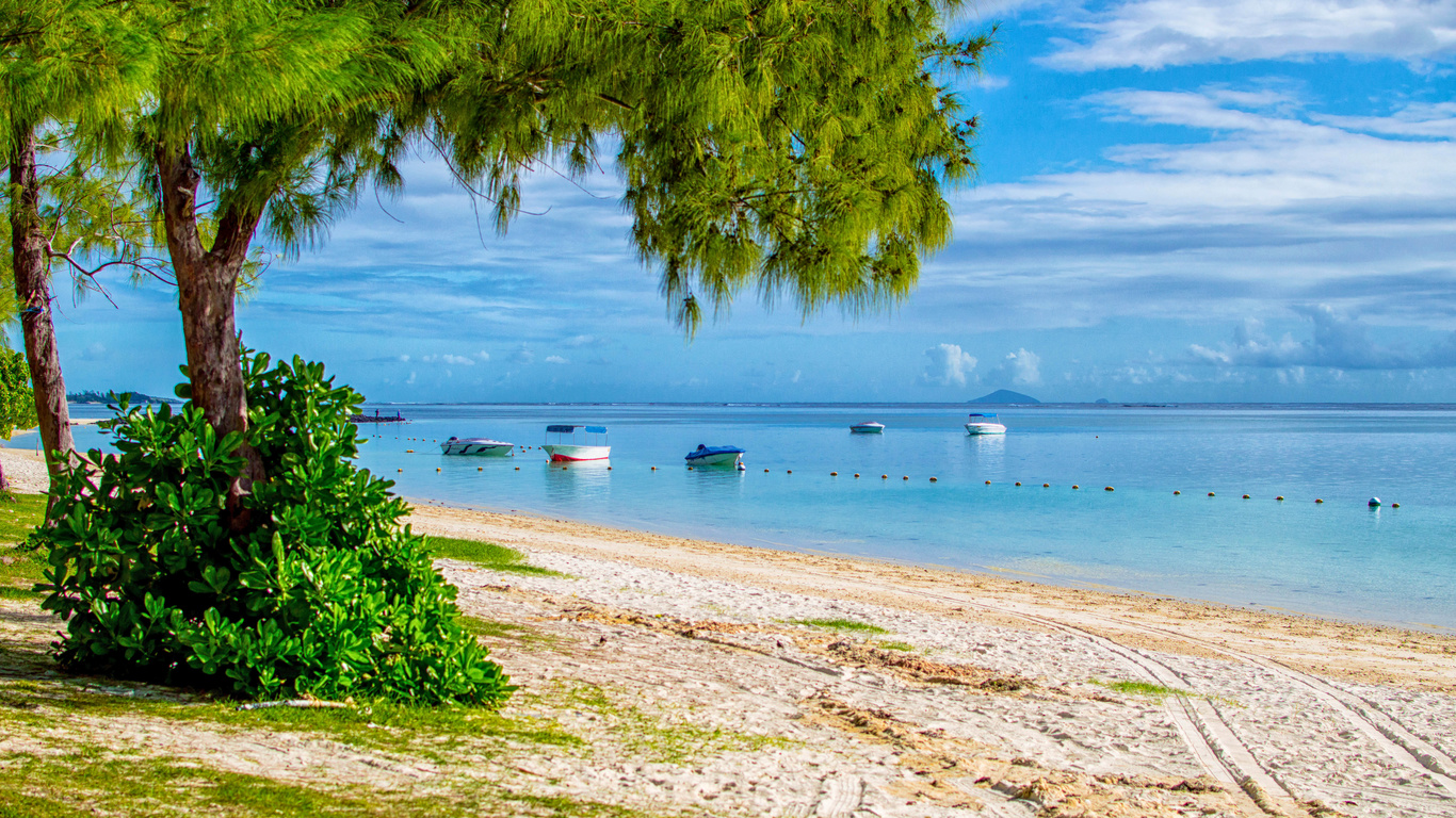 trees, coast, beach, sand, sea, boats, the sun, the sky, horizon, clouds