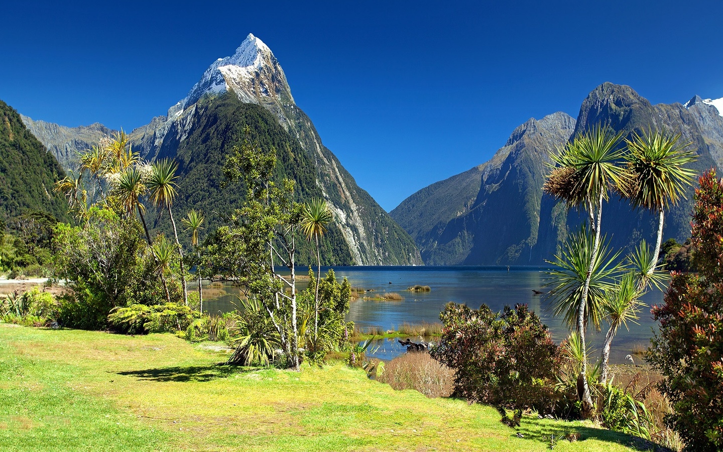  , , , , fiordland, , -, , , , , , , milford sound