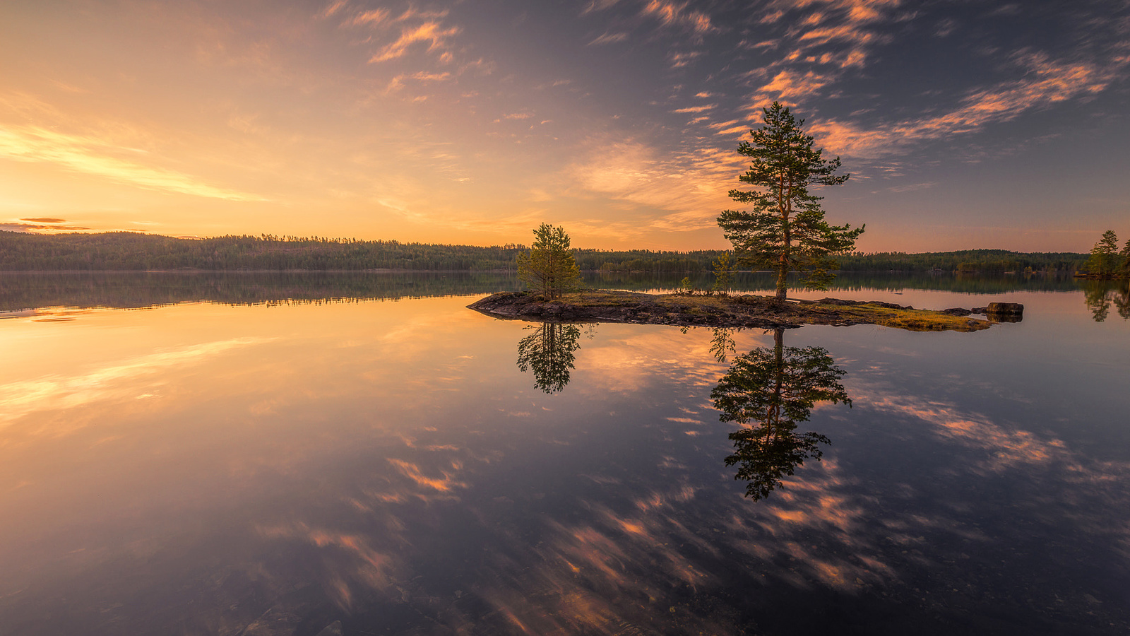 , , , , ole henrik skjelstad, , , 