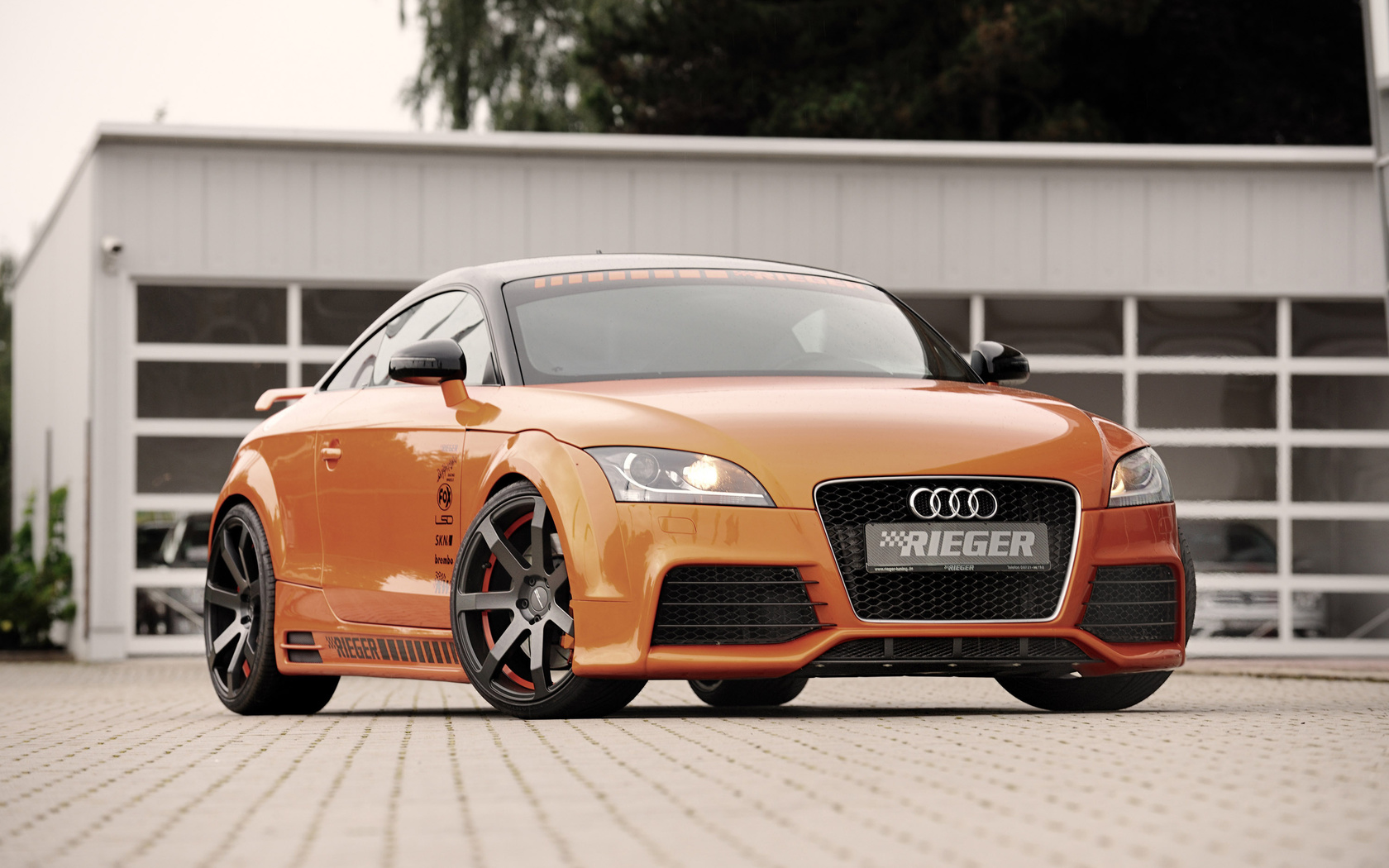 rieger, audi, tt, 8j