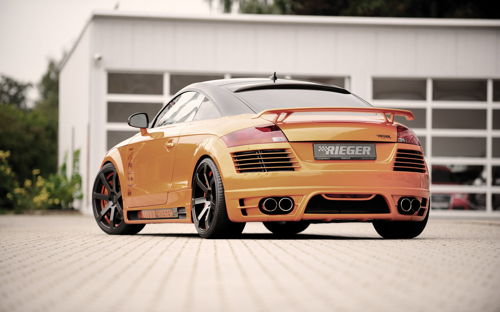 rieger, audi, tt, 8j