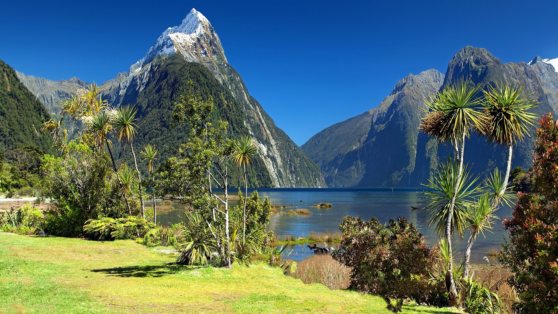  , , , , fiordland, , -, , , , , , , milford sound