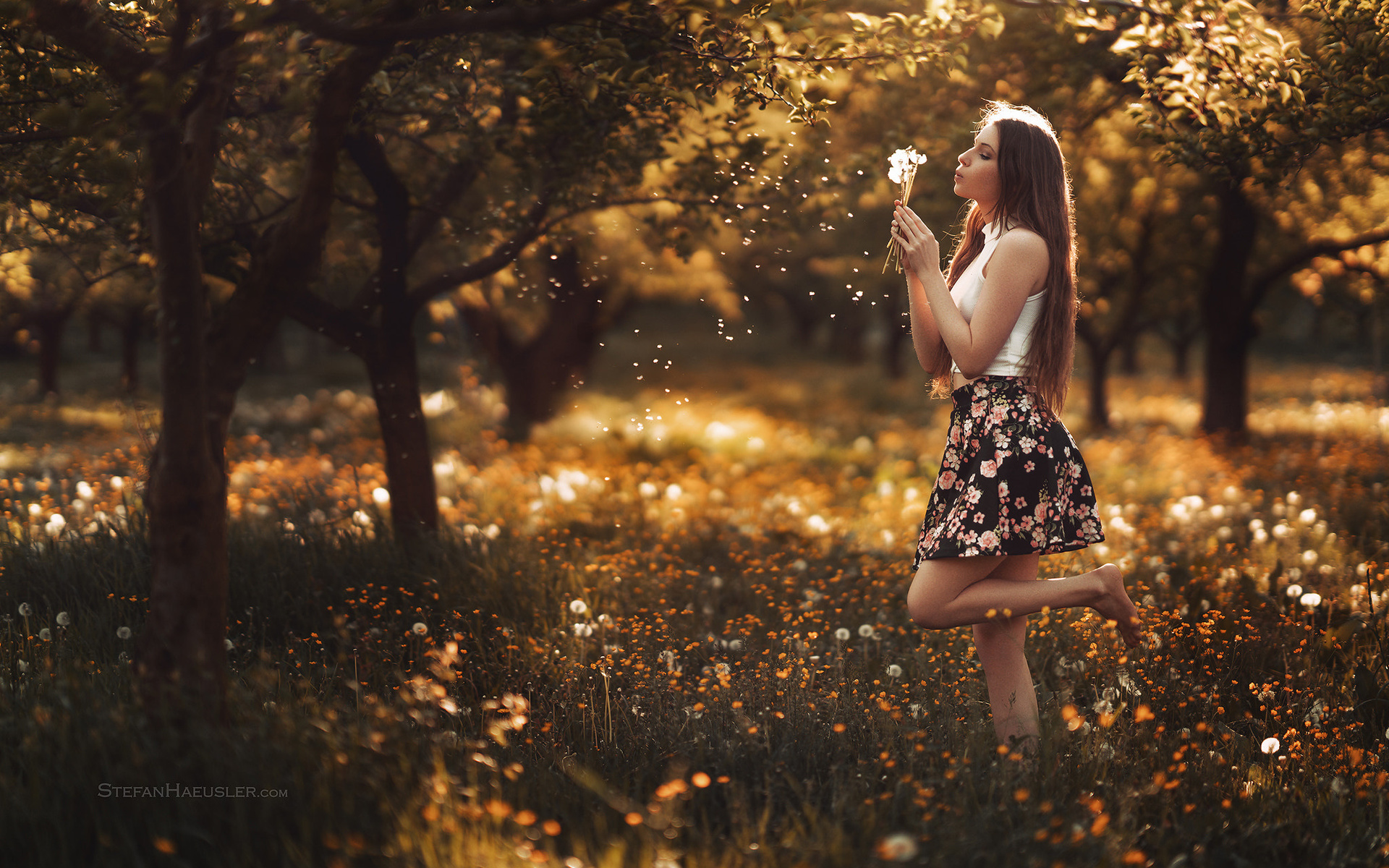 women, nature, trees, women outdoors, skirt, dandelion, long hair