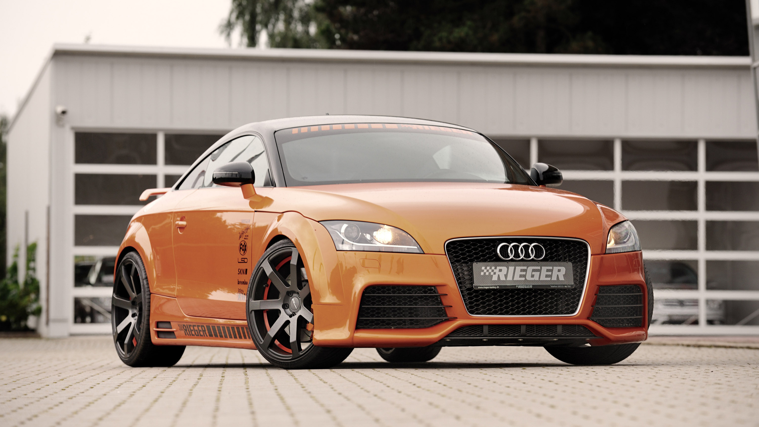 rieger, audi, tt, 8j