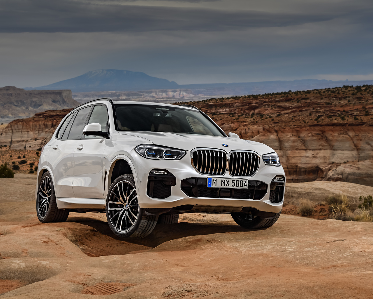 bmw, , x5 g05