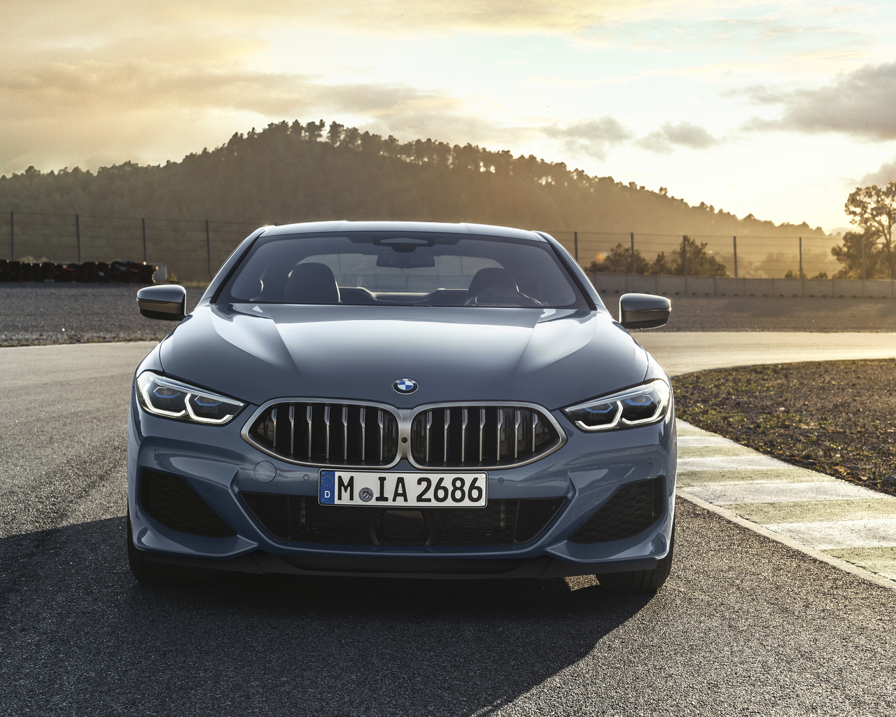 bmw, , m850i g15