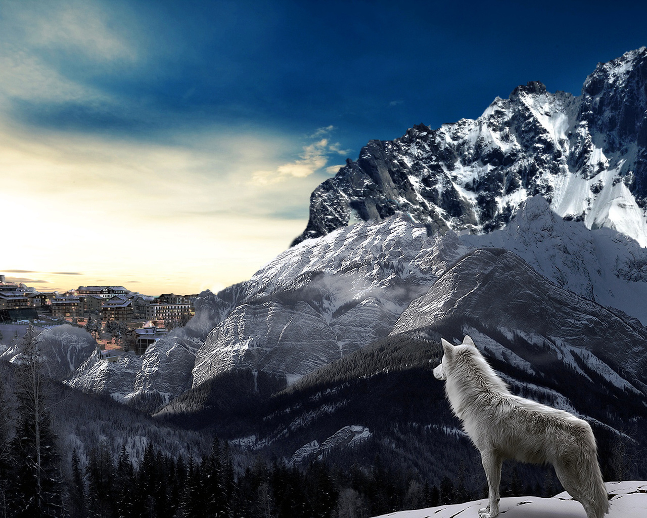 Белый волк на фоне гор