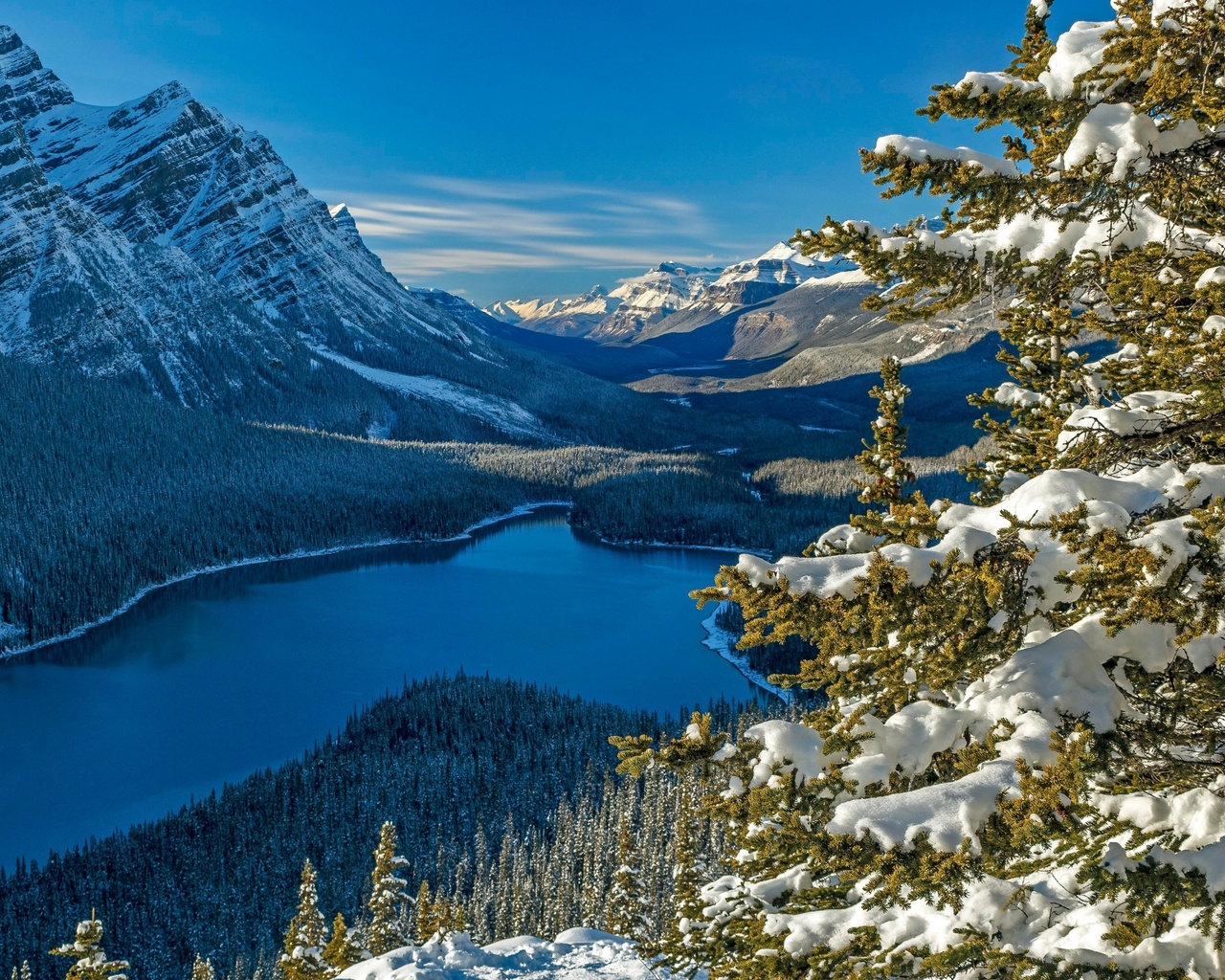 national park, alberta, canadian rockie, canada