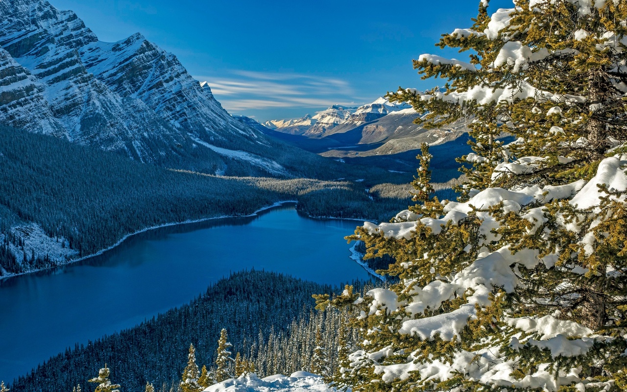 national park, alberta, canadian rockie, canada