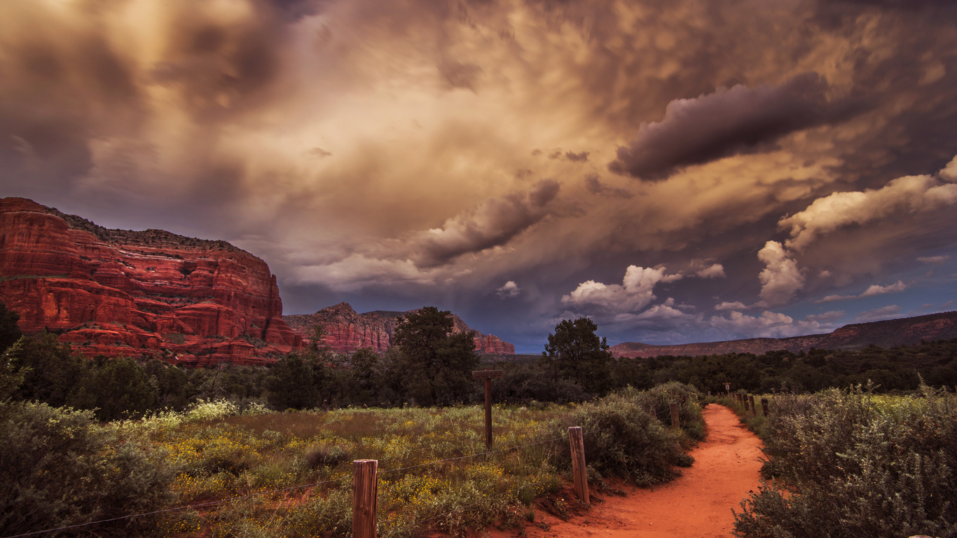 canyon, nature, plants, landscape, desert, road