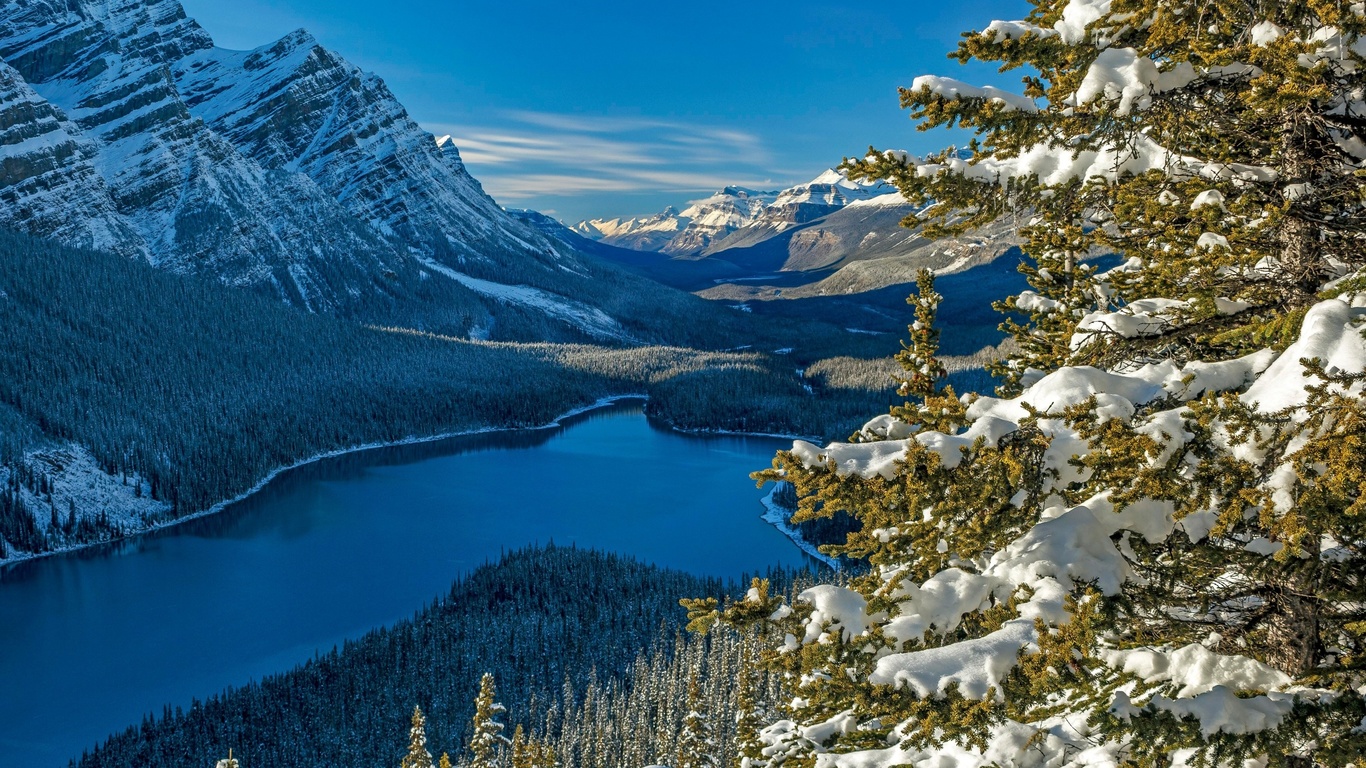 national park, alberta, canadian rockie, canada