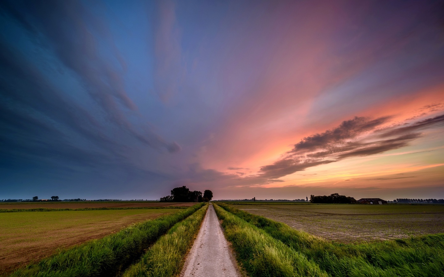 sunset, field, road