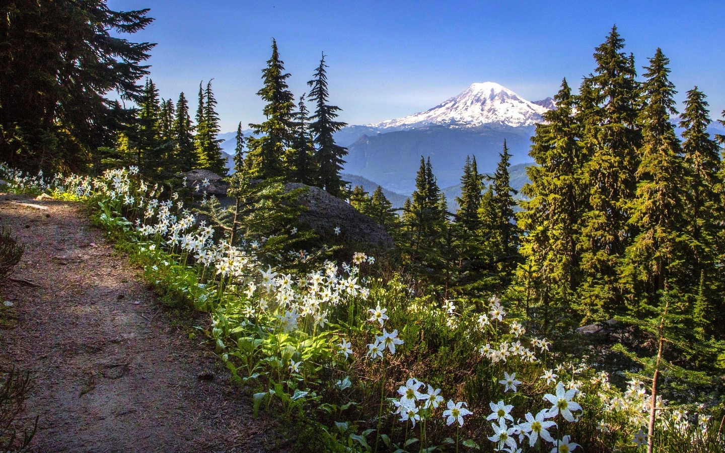 , , , , , , , -, , , , , mount rainier