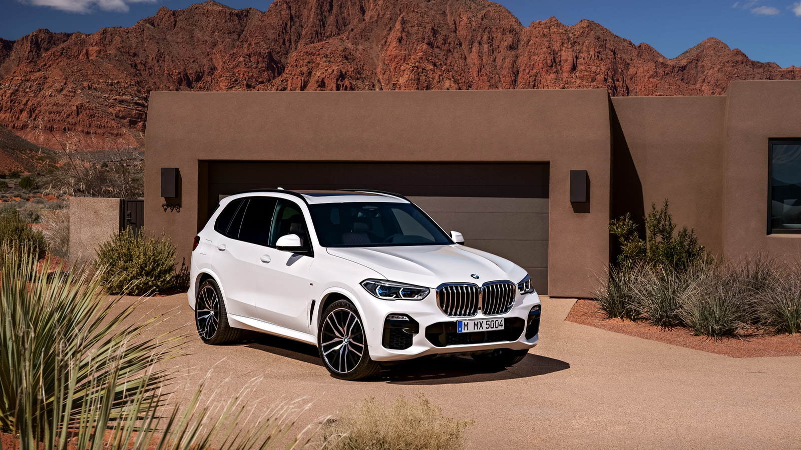 bmw, , x5 g05