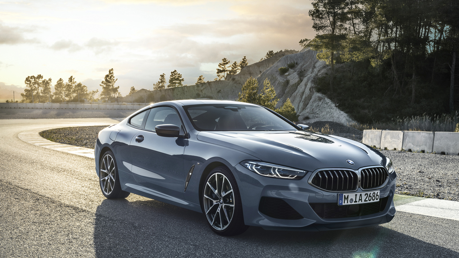 bmw, , m850i g15