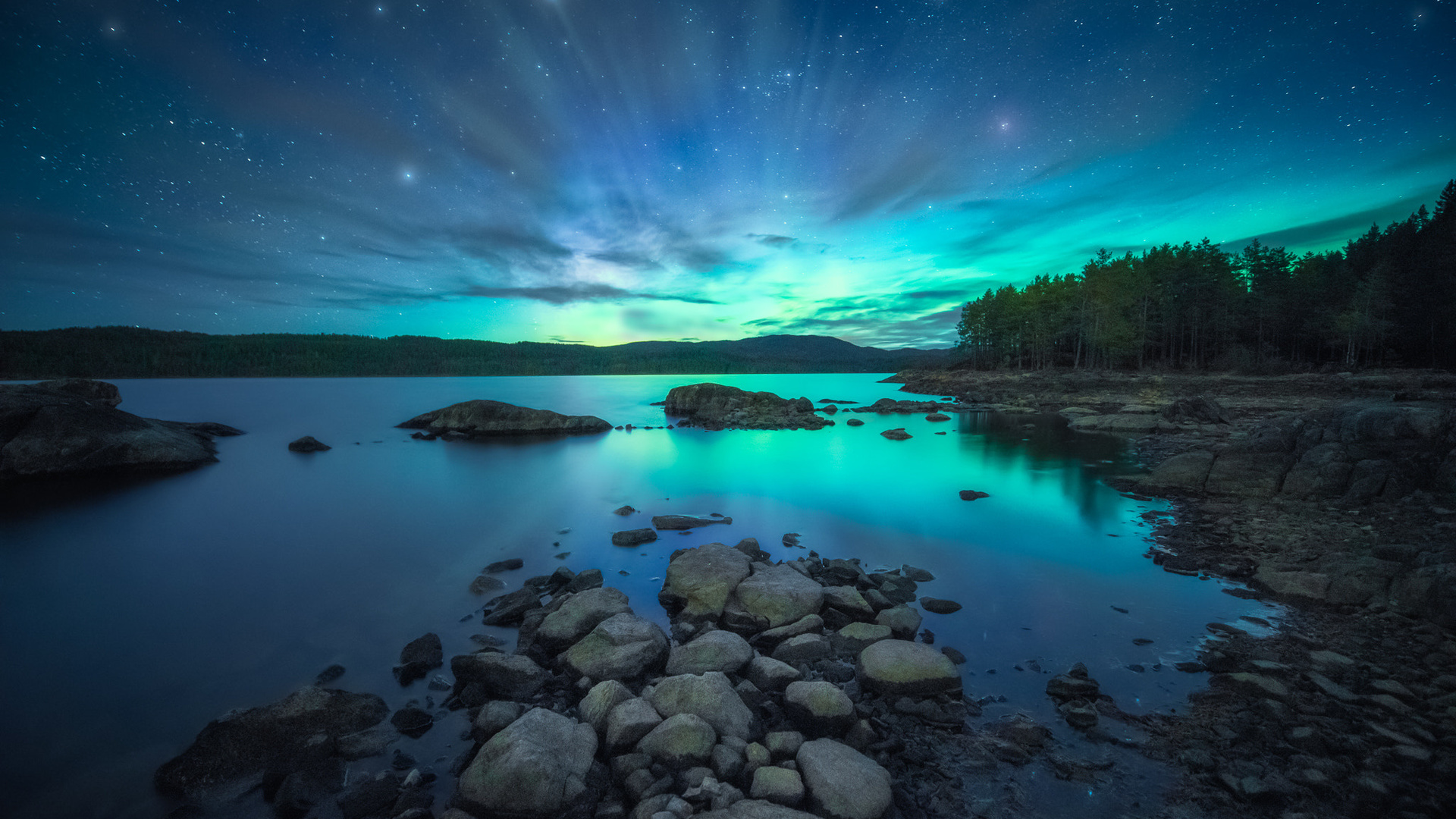 , , , ole henrik skjelstad, , , , , , 