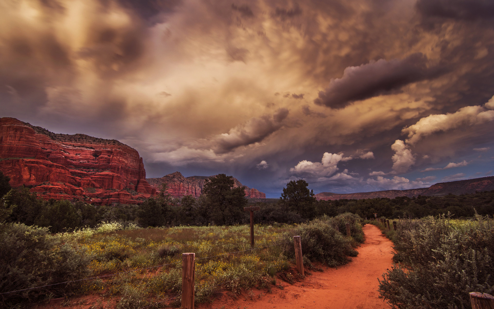 canyon, nature, plants, landscape, desert, road