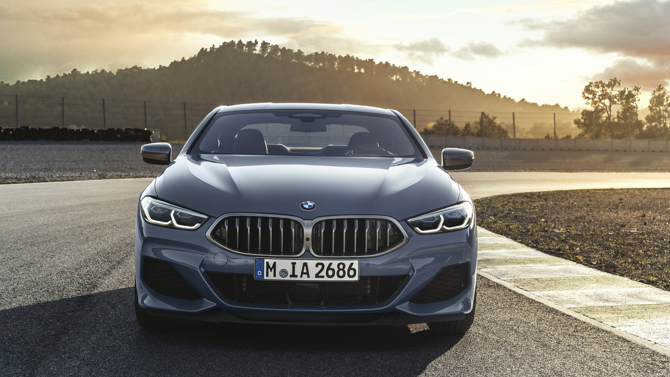 bmw, , m850i g15