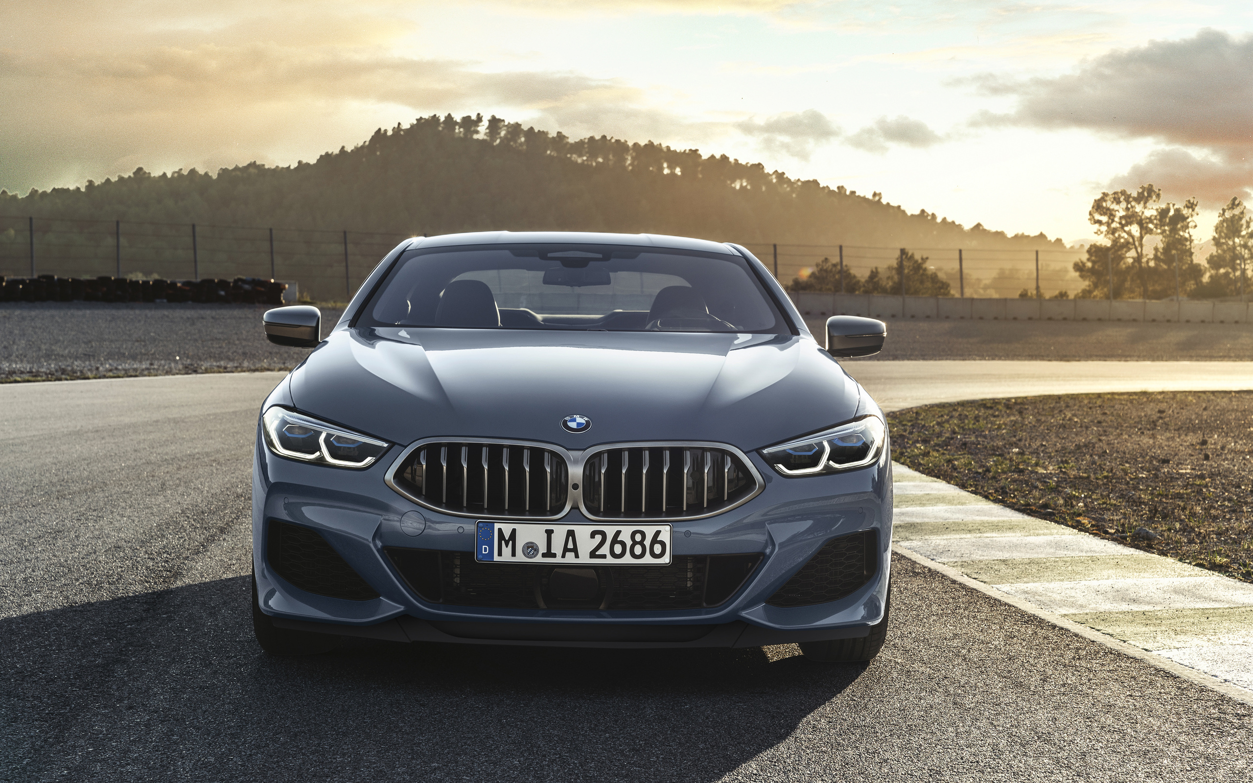 bmw, , m850i g15