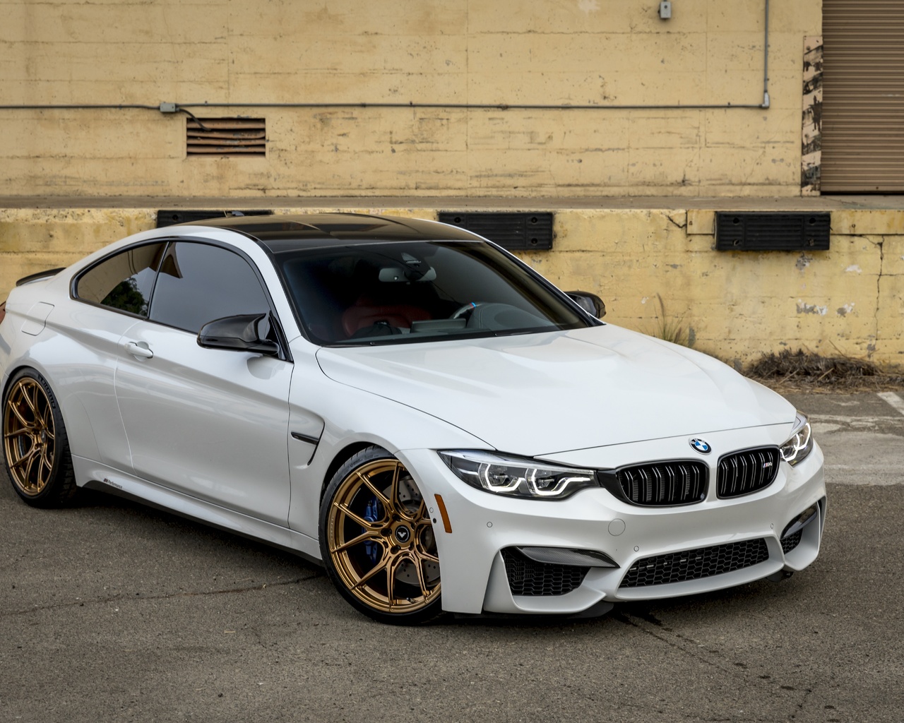 bmw, f83