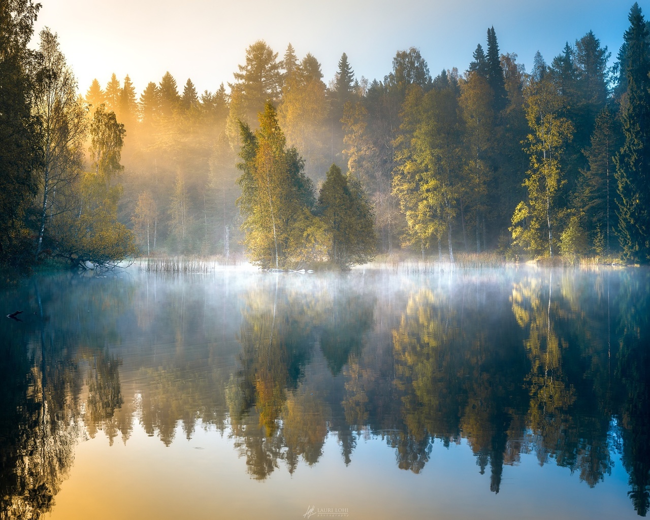 forest, autumn, dawn, finland, lake, trees, fog, reflection, morning