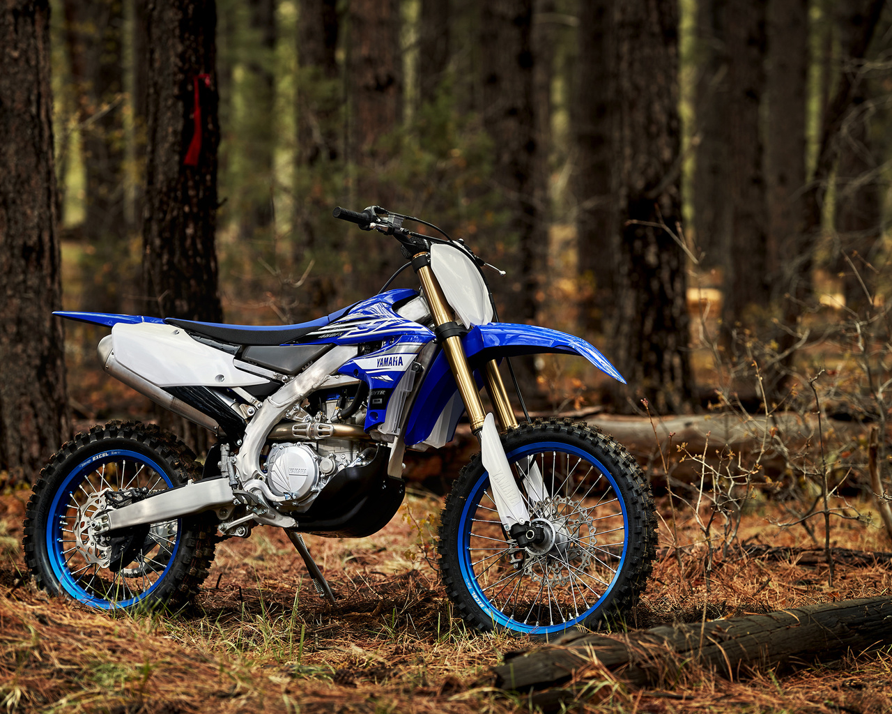 Yamaha wr450 2019