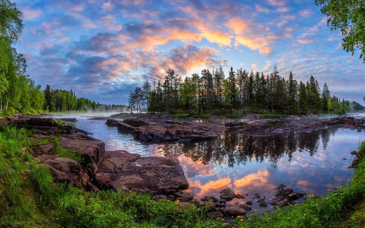 forest, river, kiiminki, kiiminki, dawn, finland, finland, trees, island, reflection, kiiminki river river, morning