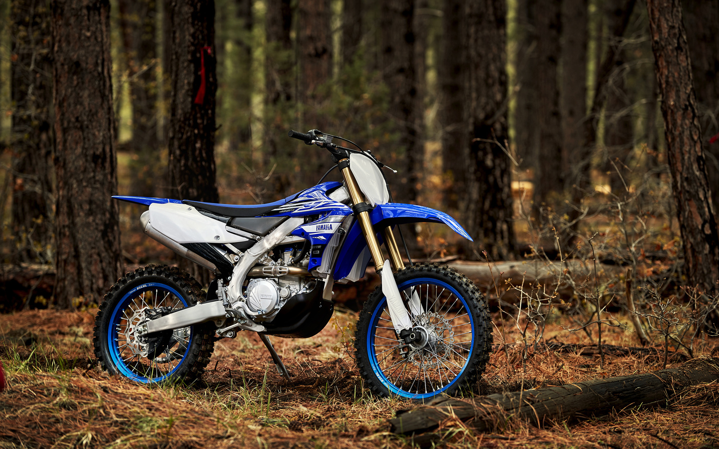 yamaha, yz250, motocross, , , , 