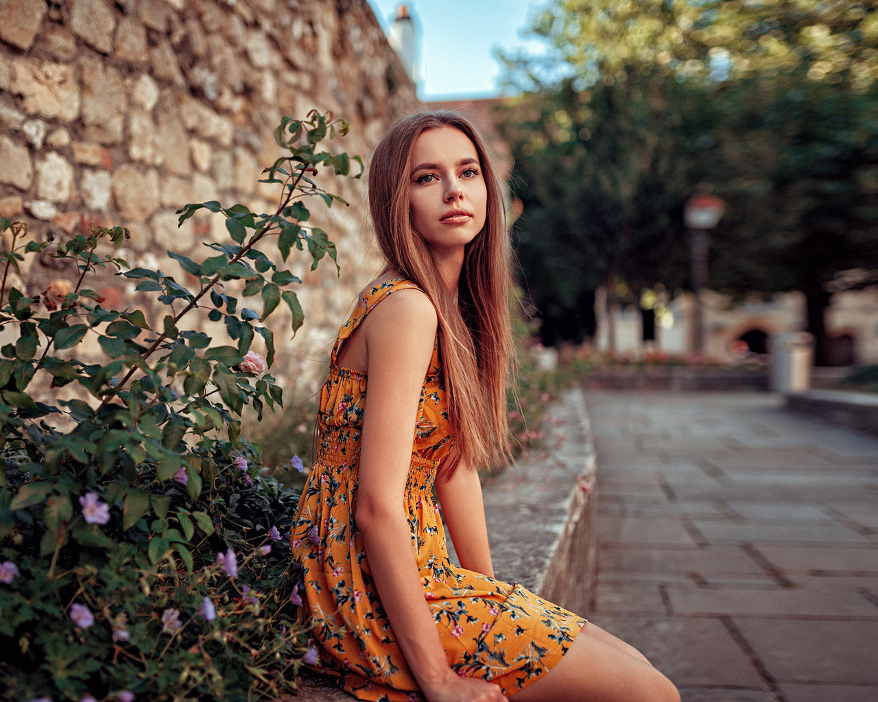 women, dress, portrait, women outdoors, depth of field, sitting, long hair, brunette