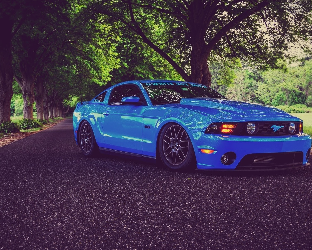 ford, mustang, shelby, gt350, tuning, muscle cars, road, blue