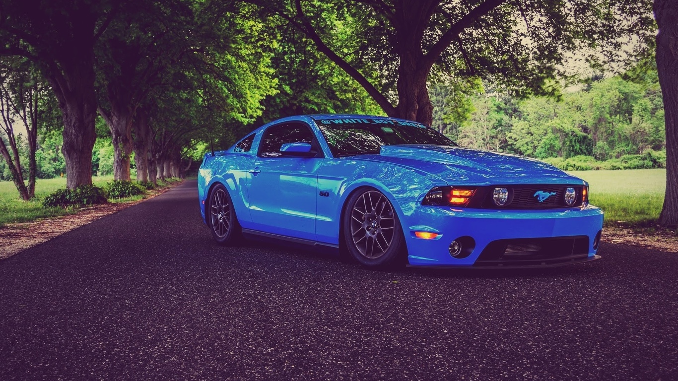 ford, mustang, shelby, gt350, tuning, muscle cars, road, blue