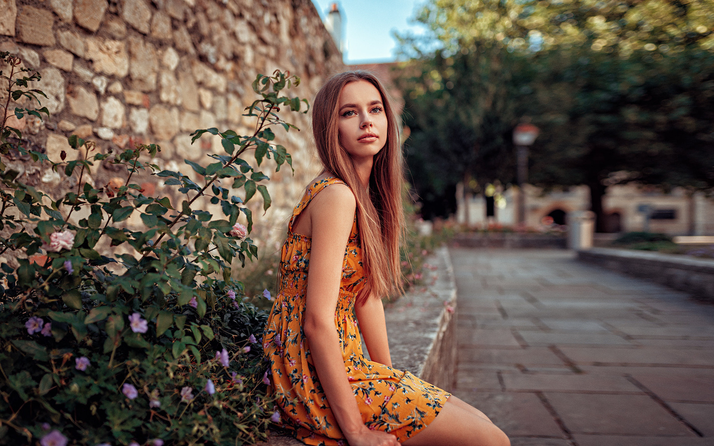 women, dress, portrait, women outdoors, depth of field, sitting, long hair, brunette