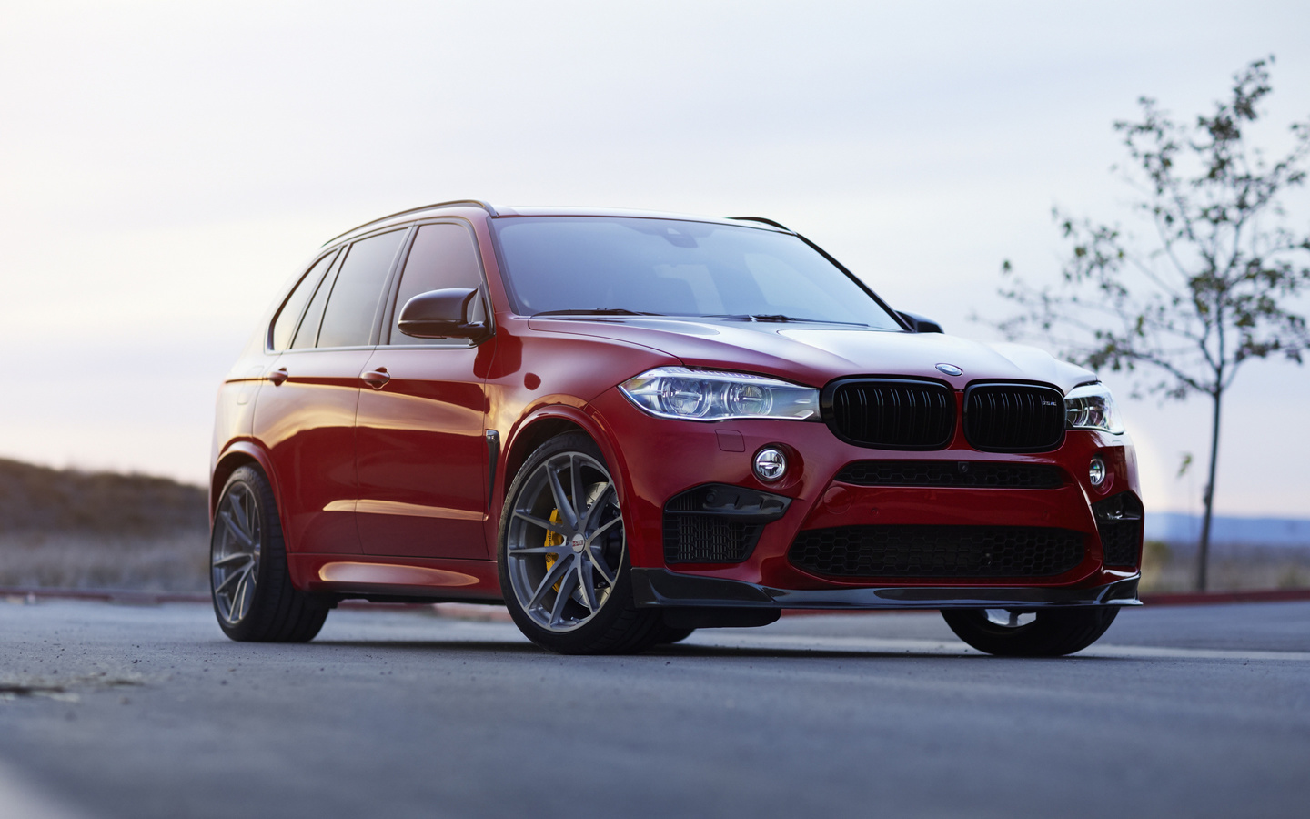 bmw, x5m, suv, tuning, predator, red, x5, f85