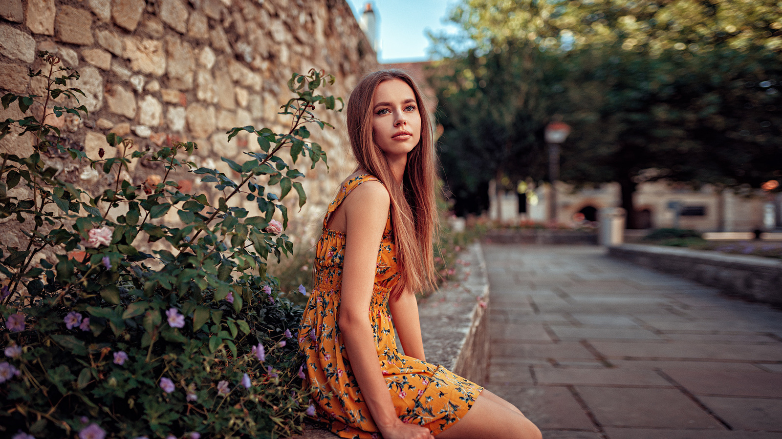 women, dress, portrait, women outdoors, depth of field, sitting, long hair, brunette