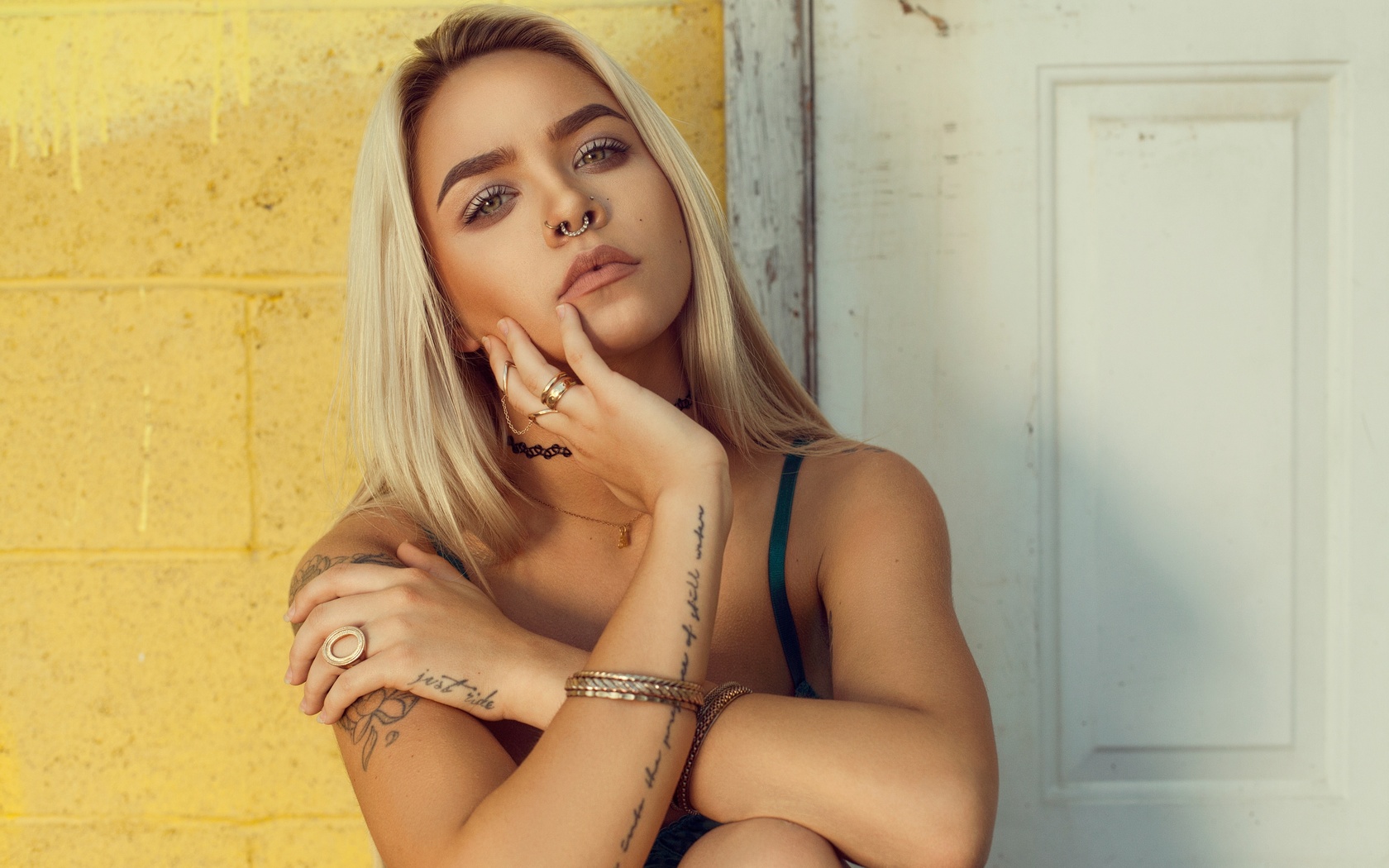 piercing, women, blonde, brunette, tattoo, portrait, nose rings, choker, jewels