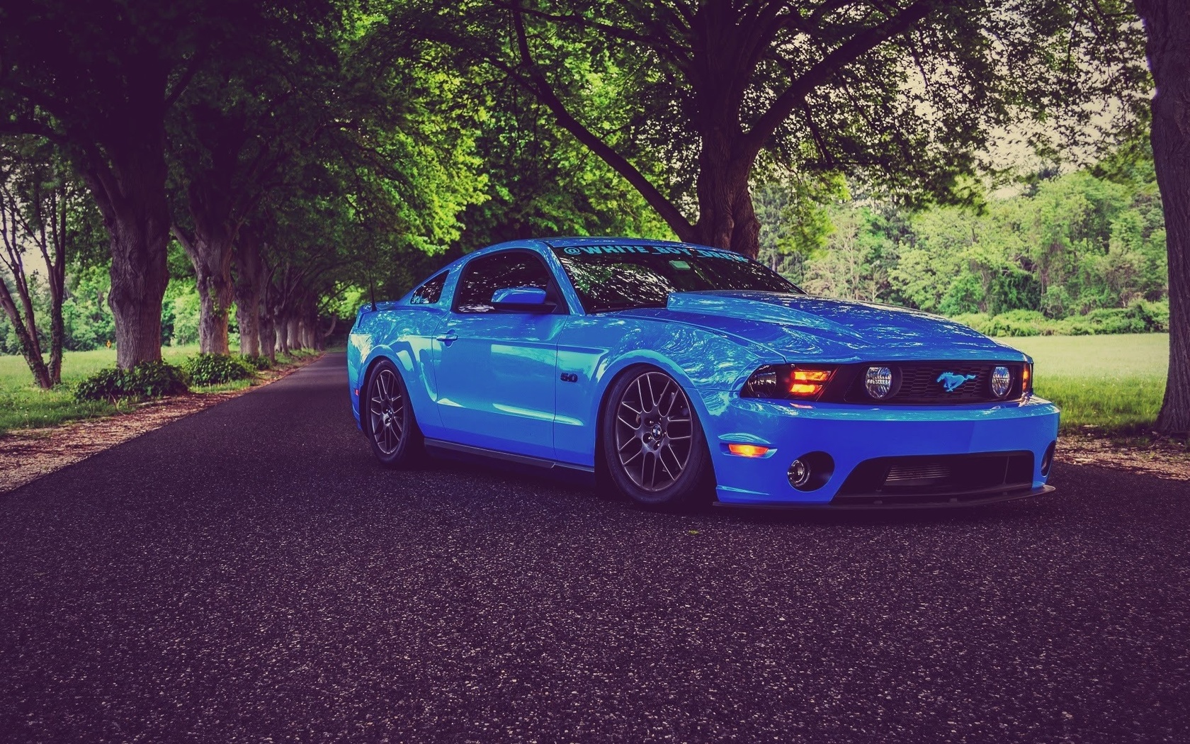 ford, mustang, shelby, gt350, tuning, muscle cars, road, blue