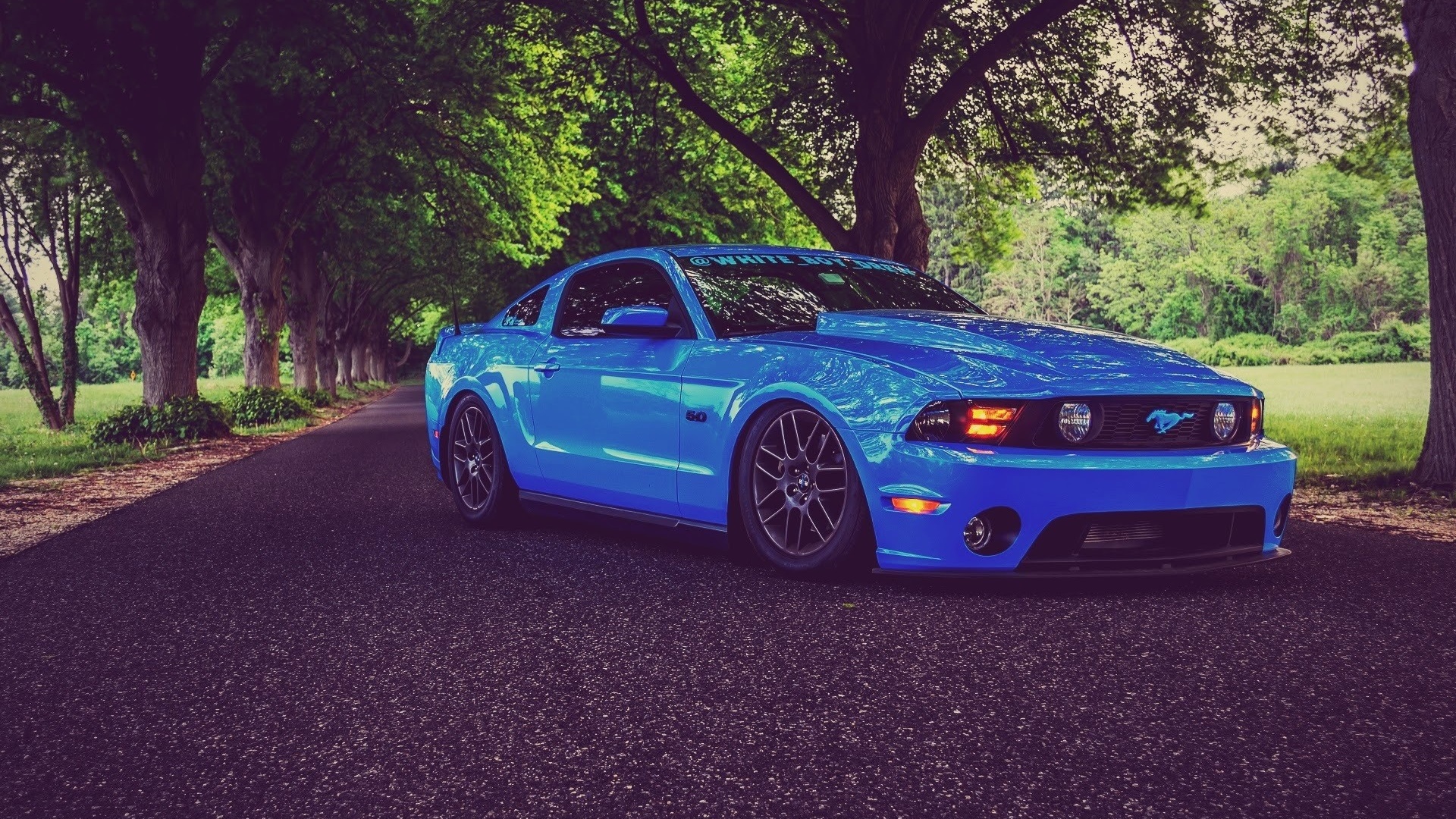 ford, mustang, shelby, gt350, tuning, muscle cars, road, blue