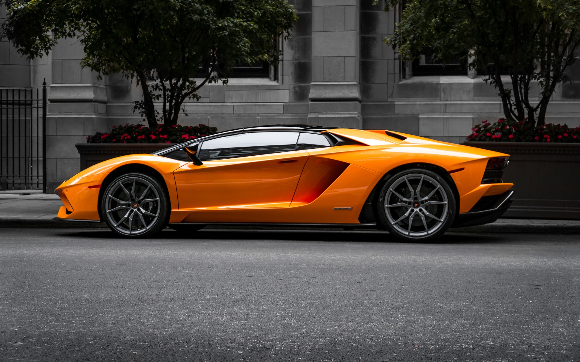 orange, lambo, aventador