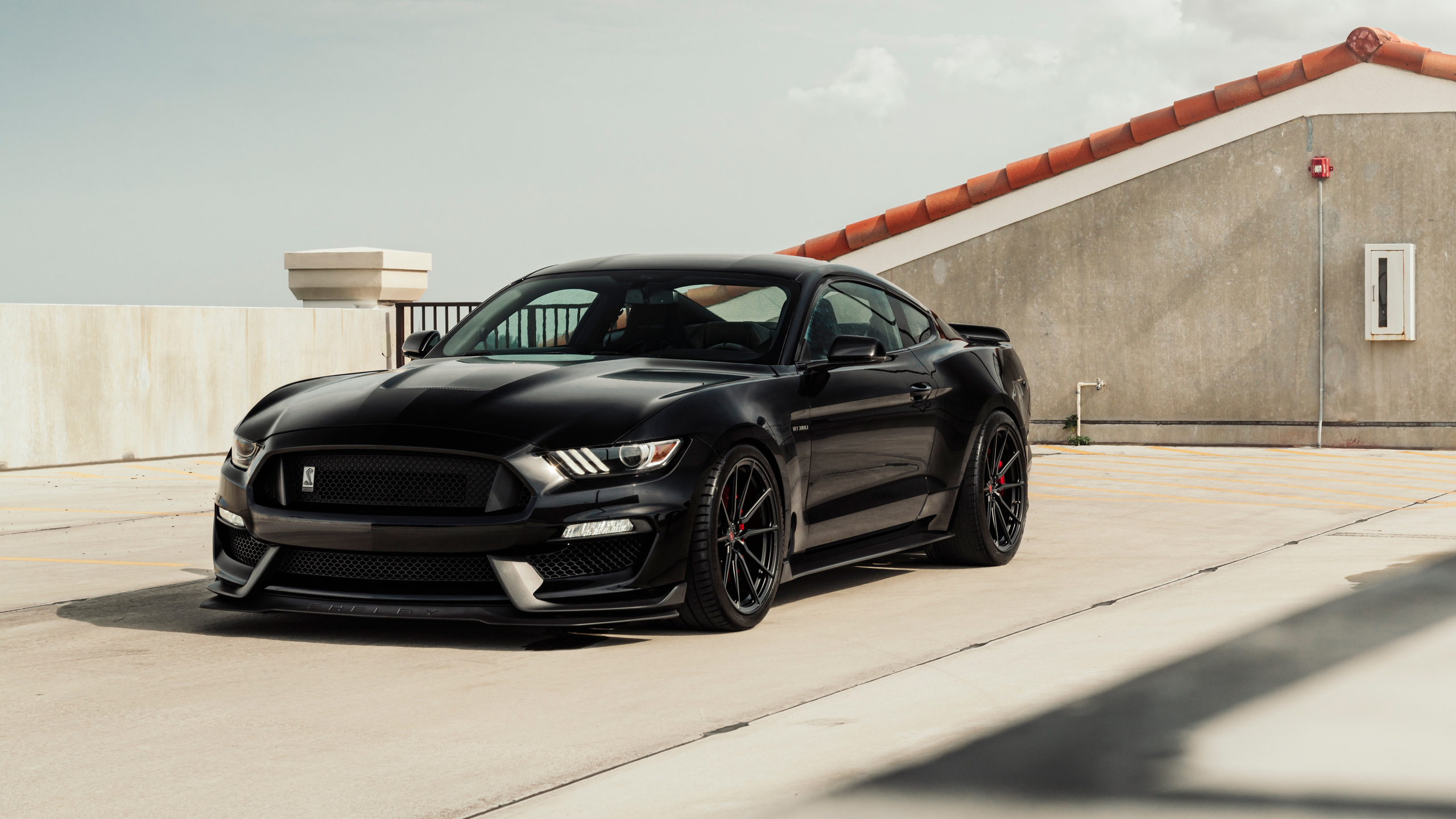 black, ford, mustang