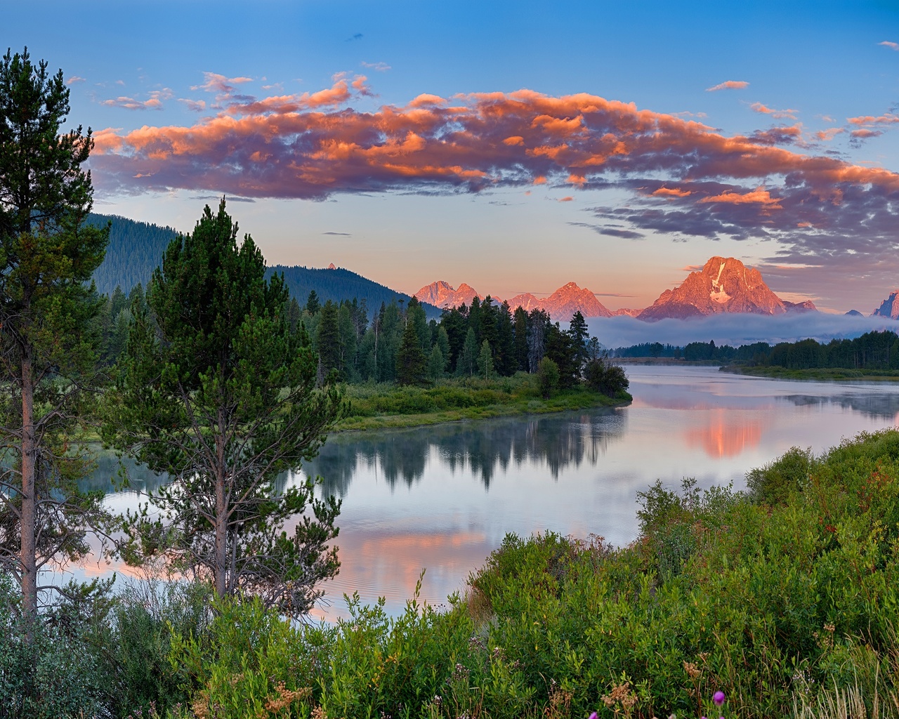 forest, grass, clouds, mountains, shore, tops, ate, usa, pond, grand teton national park