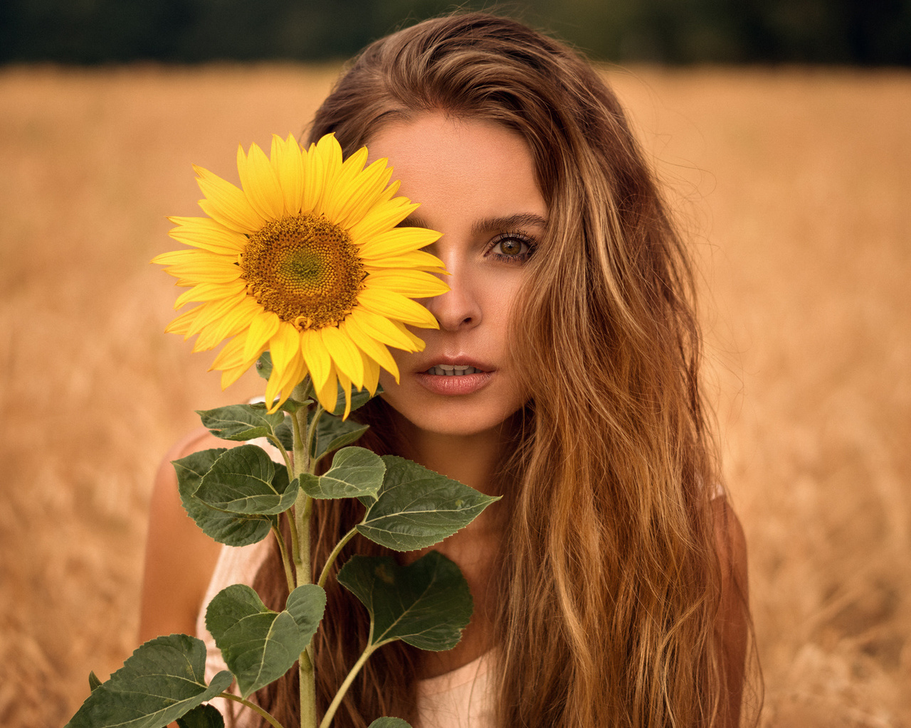 women, sunflowers, blonde, martin kuhn, portrait, face, long hair